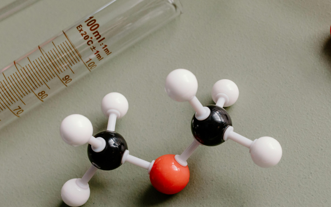 La Ciencia Empieza en Casa: Cómo Sembrar la Semilla de la Programación en tus Hijos